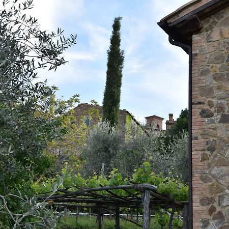 Casa Vacanze Porta Vecchia Montalcino Zewnętrze zdjęcie