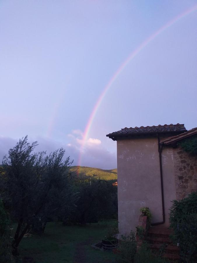 Casa Vacanze Porta Vecchia Montalcino Zewnętrze zdjęcie