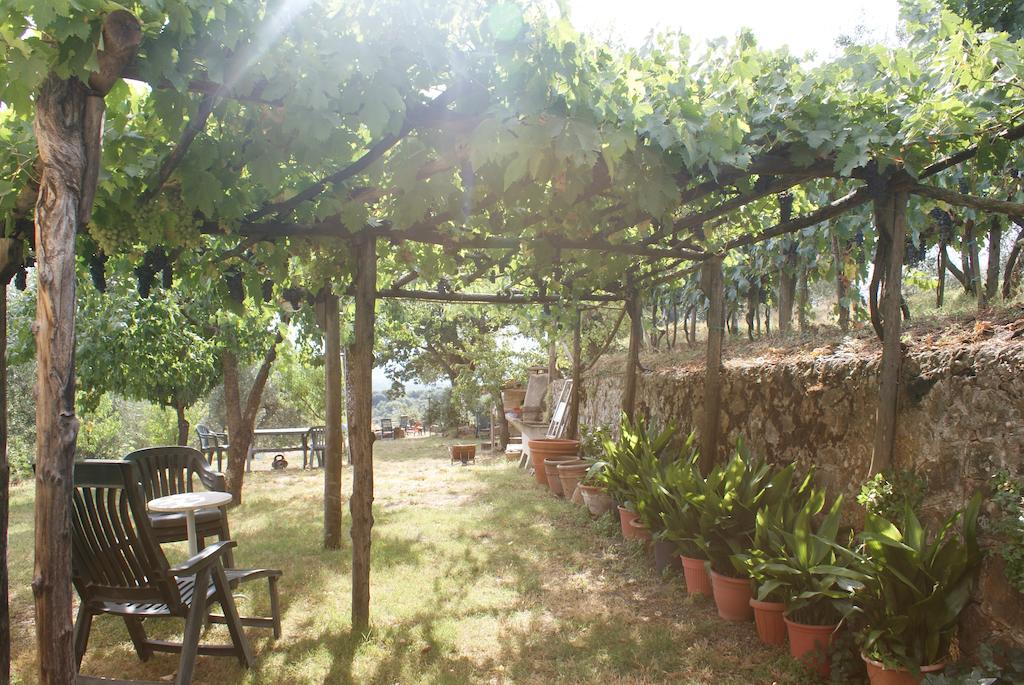 Casa Vacanze Porta Vecchia Montalcino Pokój zdjęcie