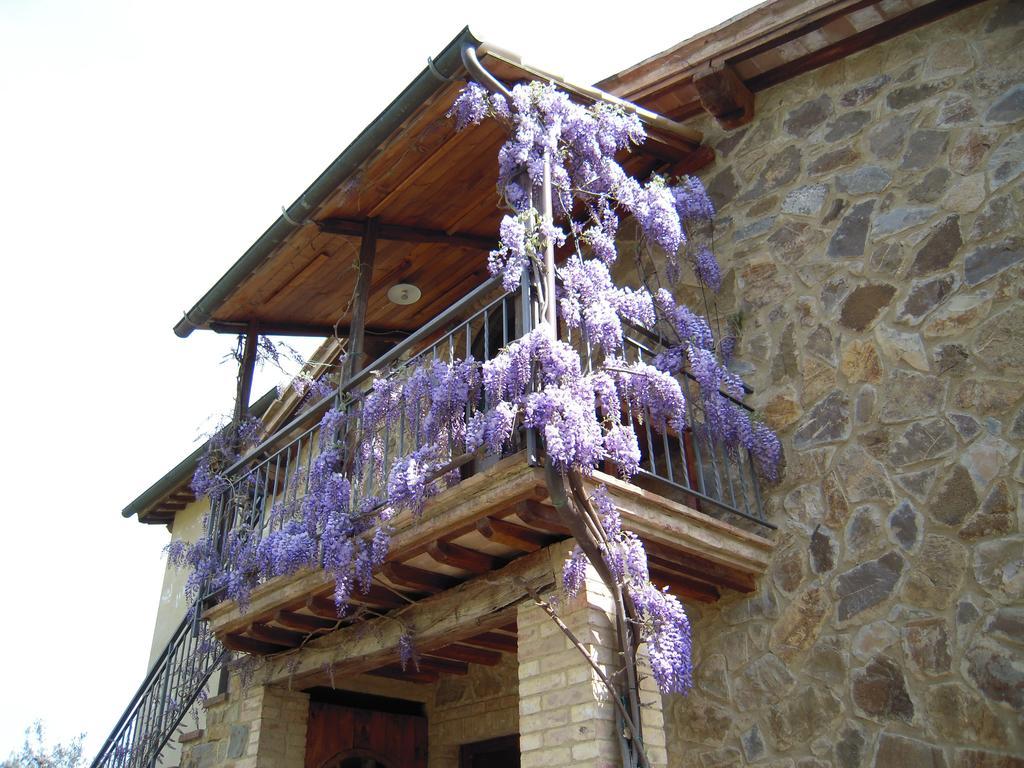 Casa Vacanze Porta Vecchia Montalcino Zewnętrze zdjęcie