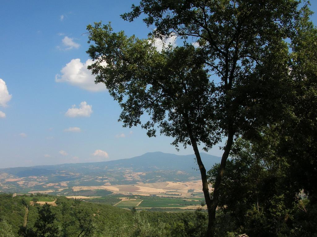 Casa Vacanze Porta Vecchia Montalcino Pokój zdjęcie