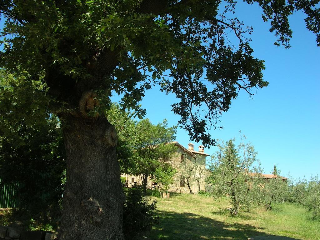 Casa Vacanze Porta Vecchia Montalcino Pokój zdjęcie