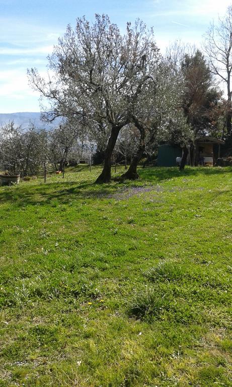 Casa Vacanze Porta Vecchia Montalcino Zewnętrze zdjęcie