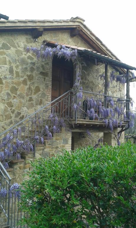 Casa Vacanze Porta Vecchia Montalcino Zewnętrze zdjęcie