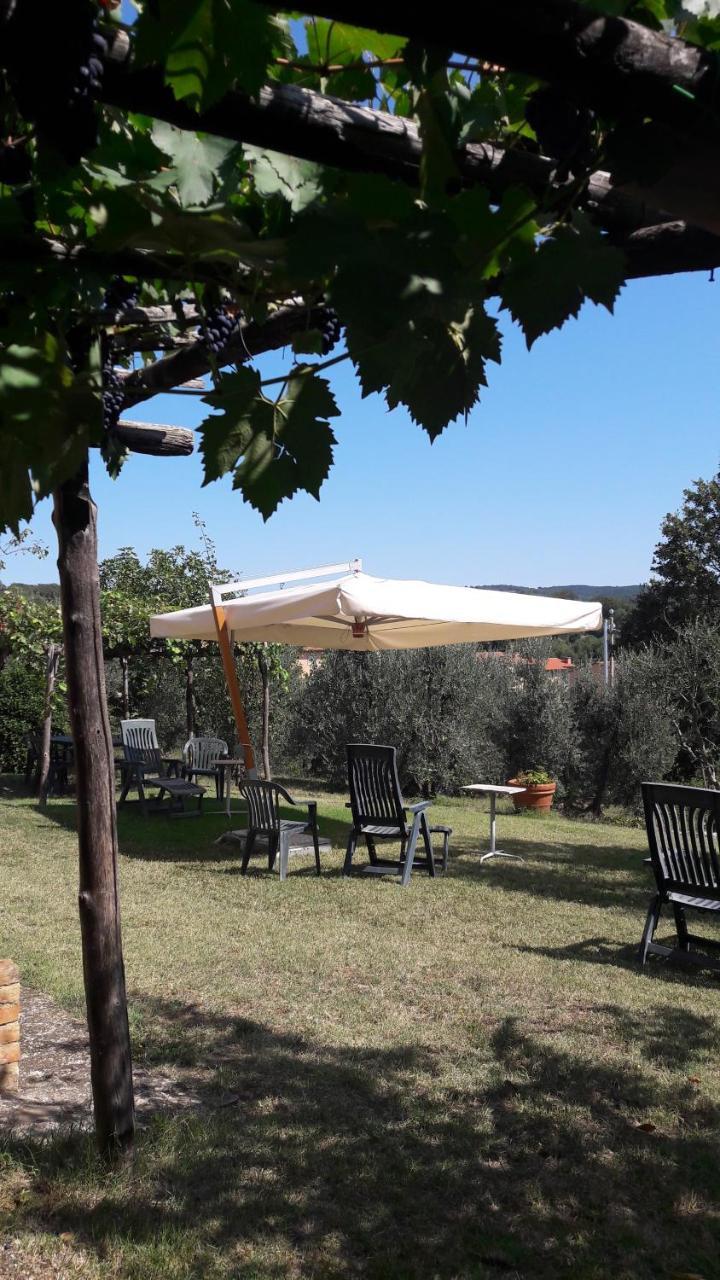 Casa Vacanze Porta Vecchia Montalcino Zewnętrze zdjęcie