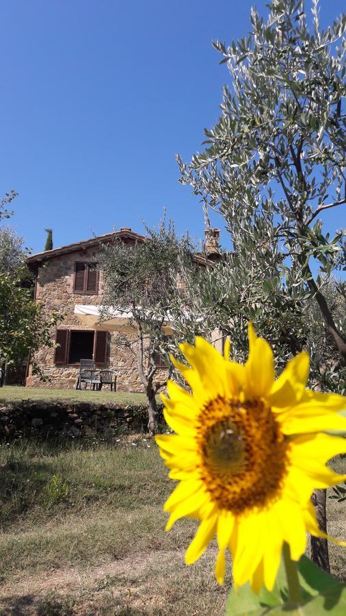 Casa Vacanze Porta Vecchia Montalcino Zewnętrze zdjęcie
