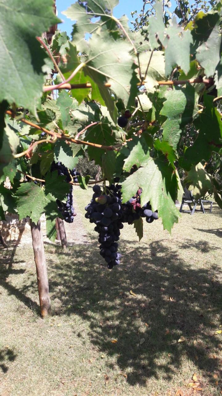Casa Vacanze Porta Vecchia Montalcino Zewnętrze zdjęcie