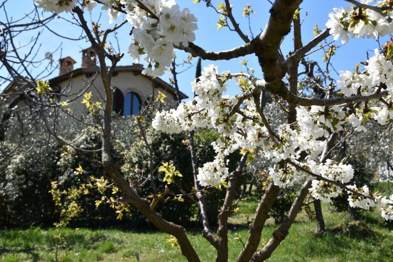 Casa Vacanze Porta Vecchia Montalcino Zewnętrze zdjęcie